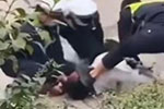 網(wǎng)曝一男子被交警踩臉摁倒 公安:正調(diào)查中