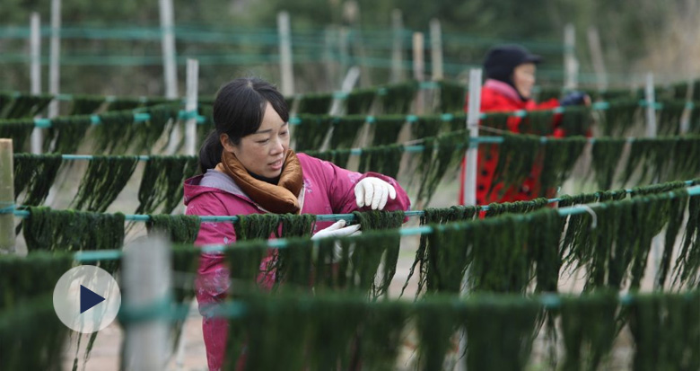 (x)l(f)z Gðl(f)@ʳȦ