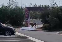 RF(tun)ֻ{f\ ^ɢٷͨ(bo)